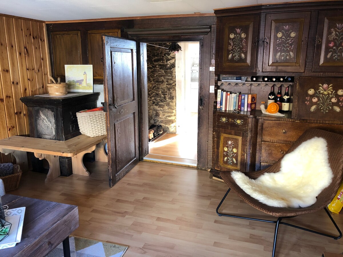 客厅温馨舒适，配备沙发床