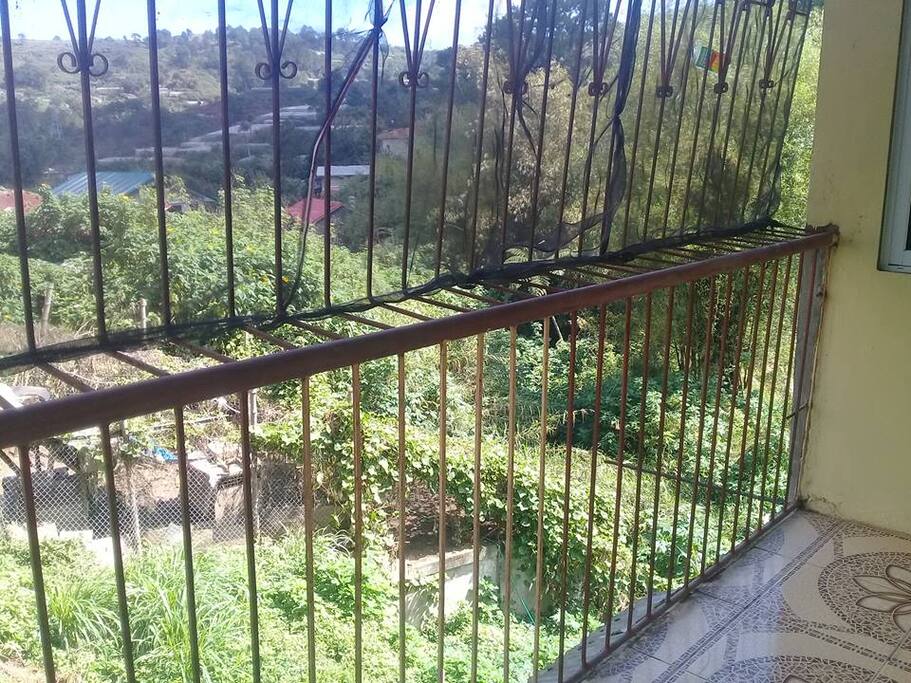 Terrace1