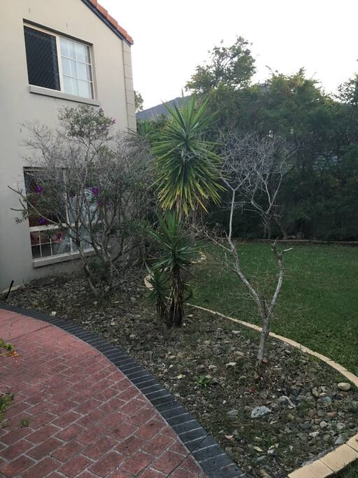 Front yard