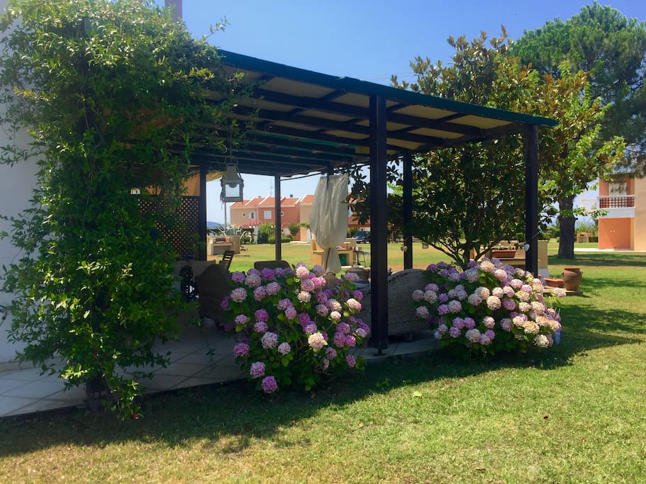 Garden Corner