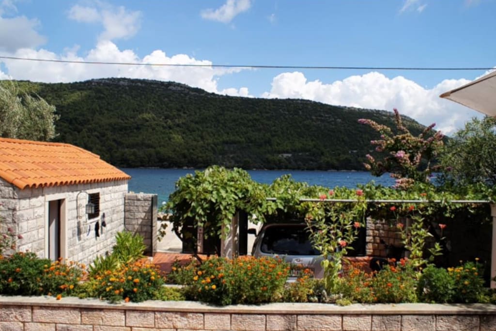 Vue de la terrasse de l'entrée