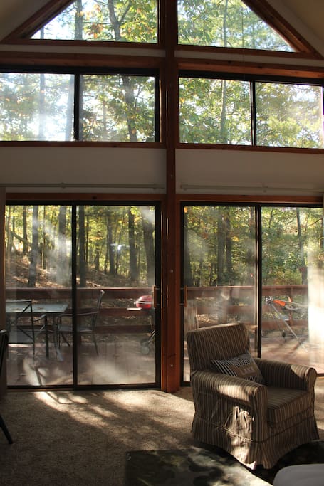A frame lets all nature in!