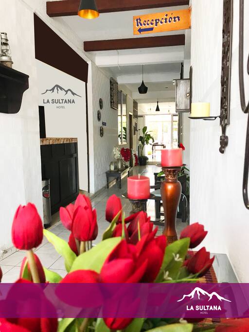 ¡Bienvenidos a La Sultana Hotel!