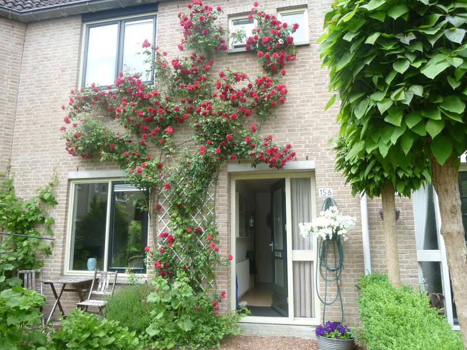Front of the house
