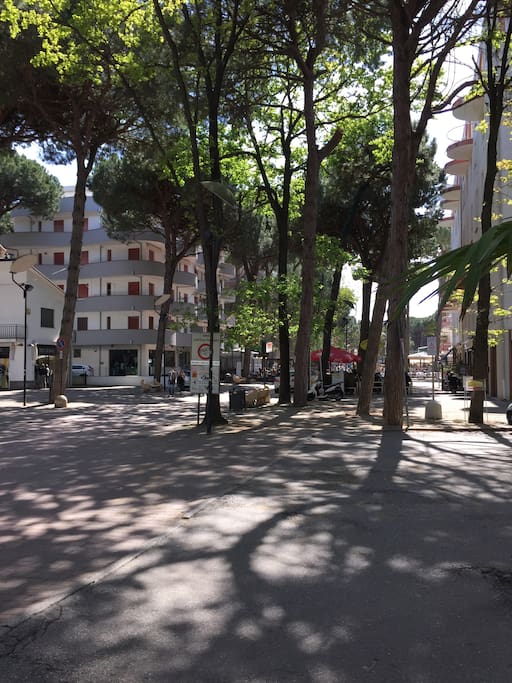 viale principale