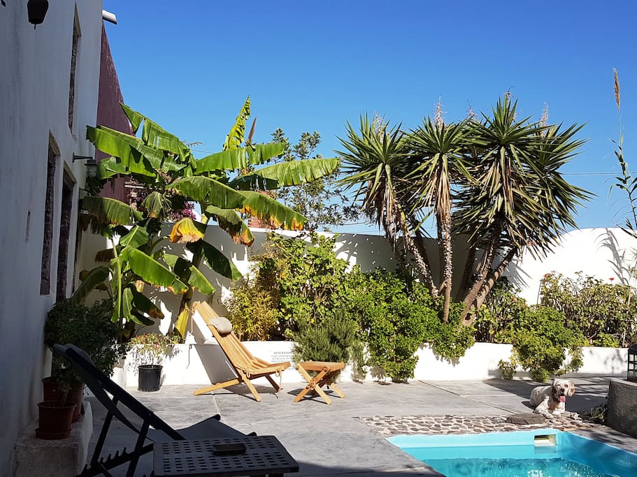 Winery house garden and tiny pool