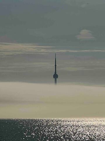 Stylish. Spotless. Superb Location. HighParkHomes gallery image 4