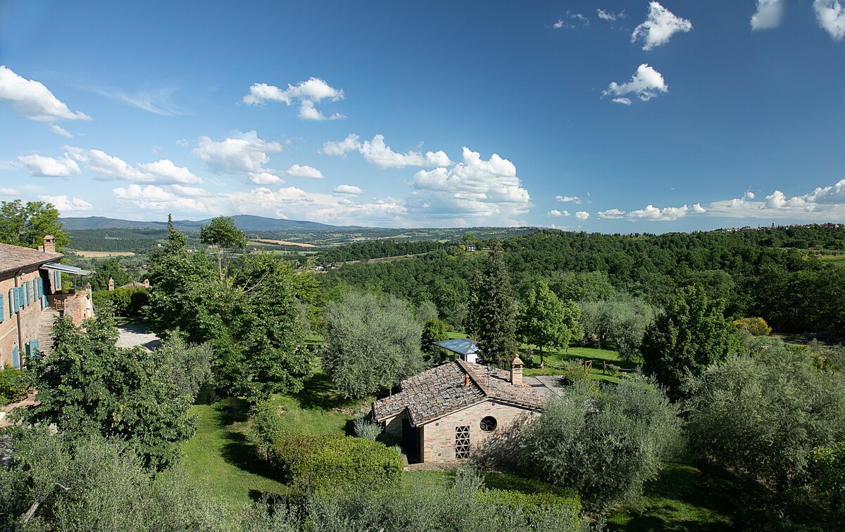 A panoramic view showcases a lush landscape surrounded by greenery, with rolling hills in the distance. Olive trees and other foliage are spread throughout the area, creating a serene outdoor atmosphere. The sky is clear with scattered clouds, enhancing the tranquil environment.