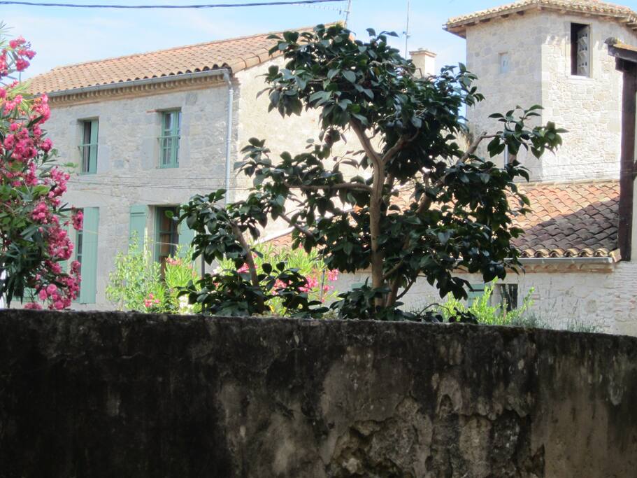 L'ensemble de la propriété