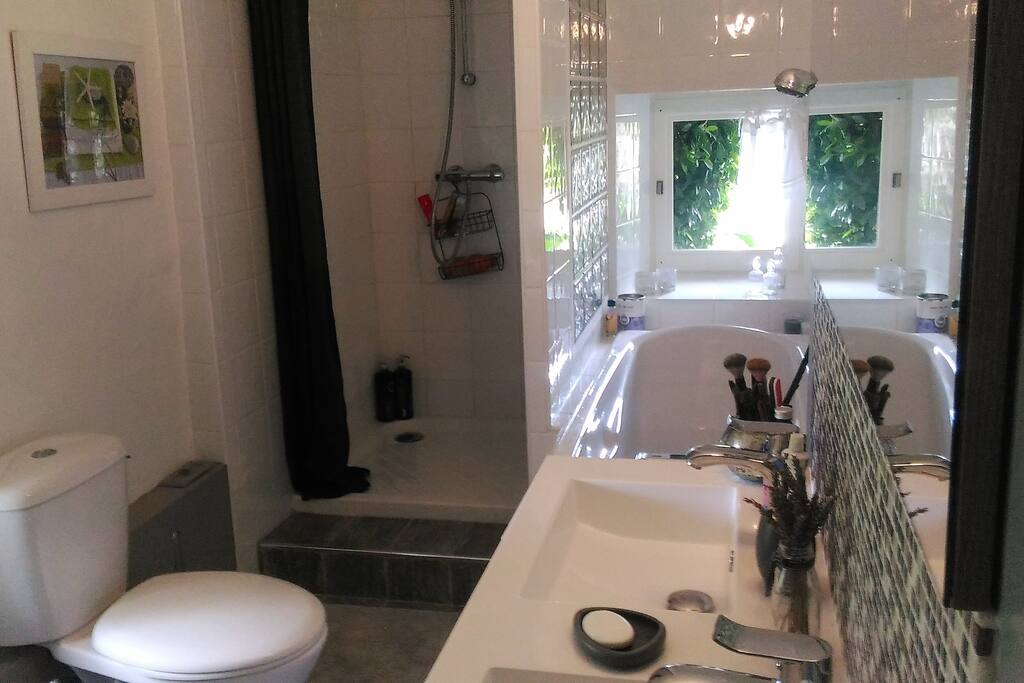 salle de bains + douche