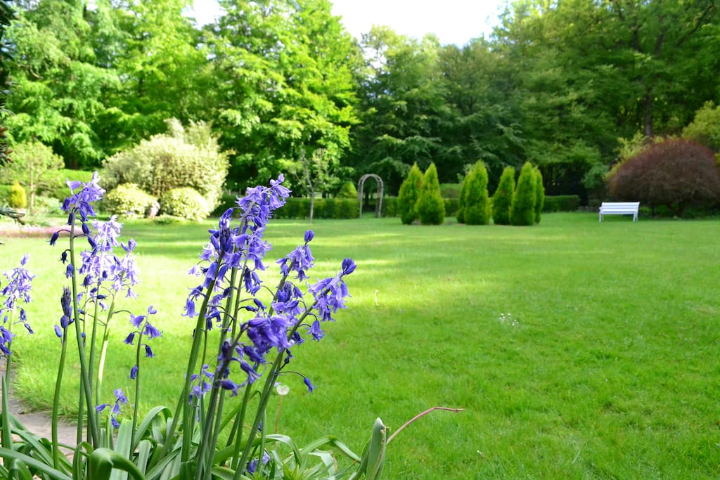 Meticulously landscaped back garden with over half an acre lawn surrounded by woodland
