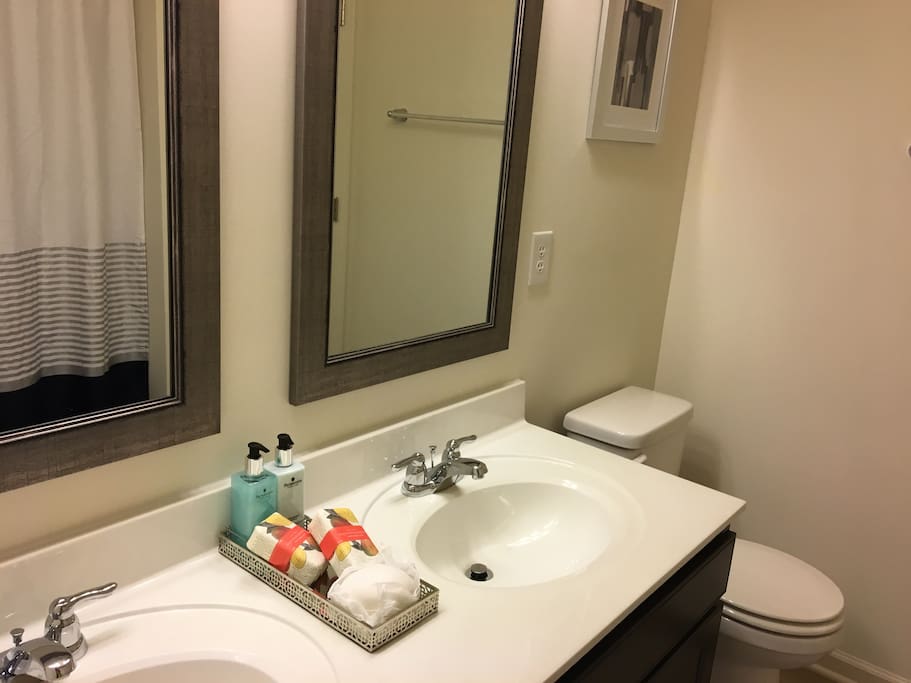 Double sink vanity