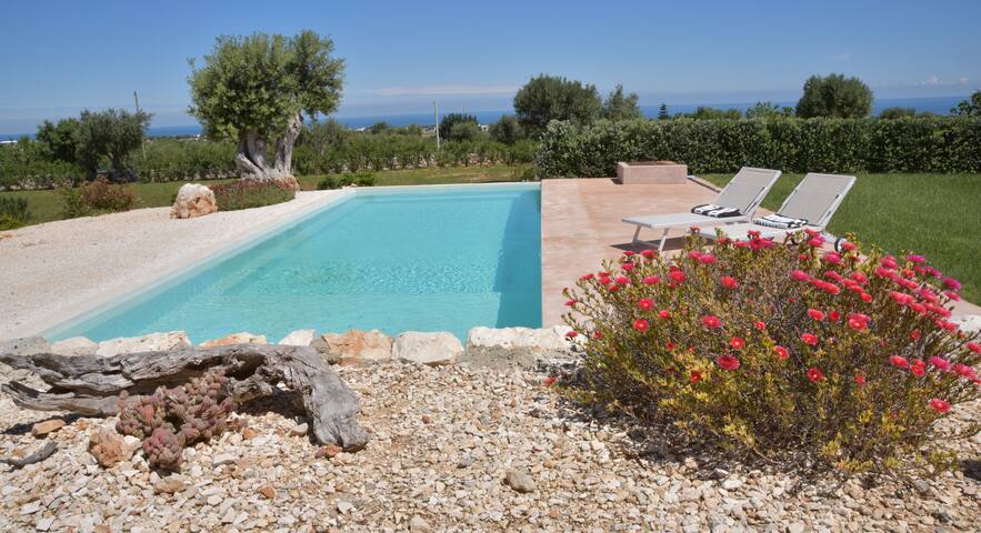 Il Tempo Azzurro gallery image 5