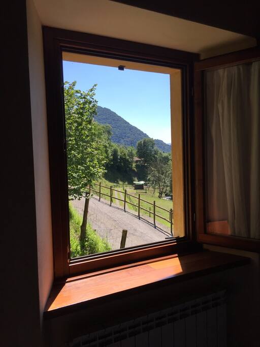 Window view.