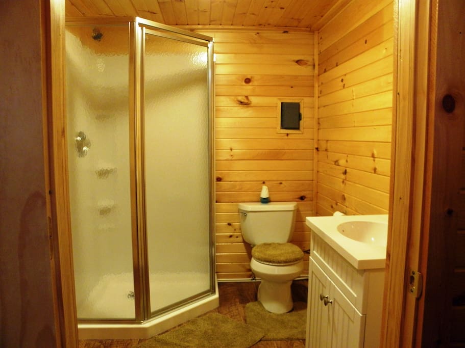 Spacious full bath with shower stall, sink, toilet and comfortable size space for changing.