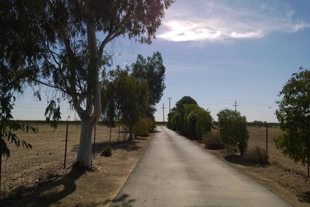 The ranch house and bunk house and all the out buildings are about a 1/4 mile off the main road. Lot's of privacy and quiet space.