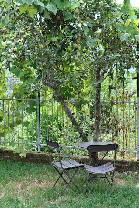 Giardino / Breakfast