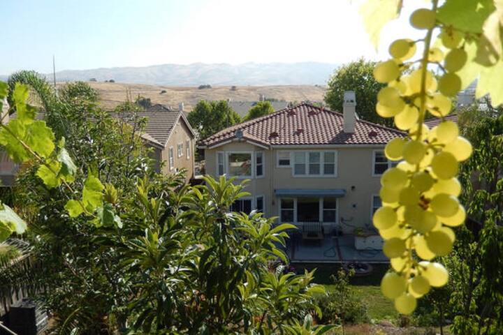 Beautiful Spacious Home in a Quiet Area gallery image 2