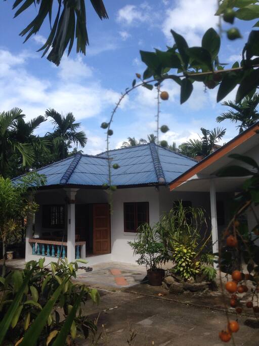 View from the driveway, beautifully landscaped, mature palms and various tropical trees and flowers, a strip of natural land with bamboo thickets provides more privacy