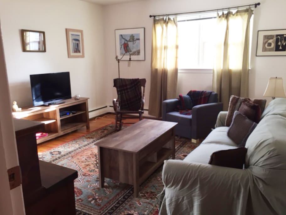 Bright living room, cozy, comfortable, cable tv