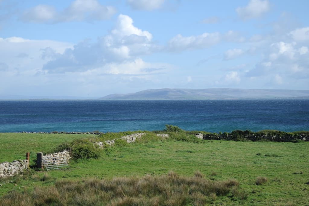 View from Living room