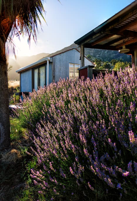 Your cabin in the mountains
