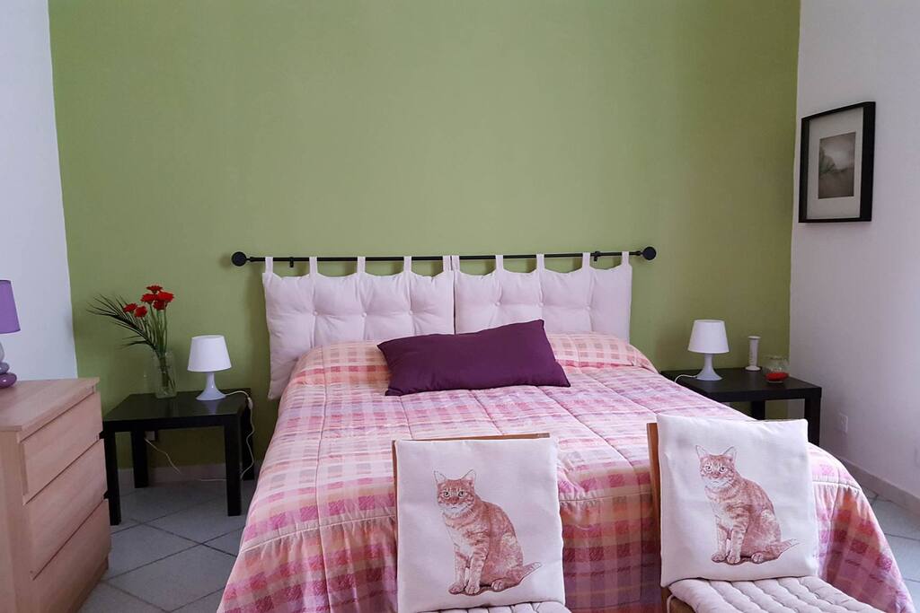 couple who sleep in a green bedroom regularly wake up feeling upbeat and positive