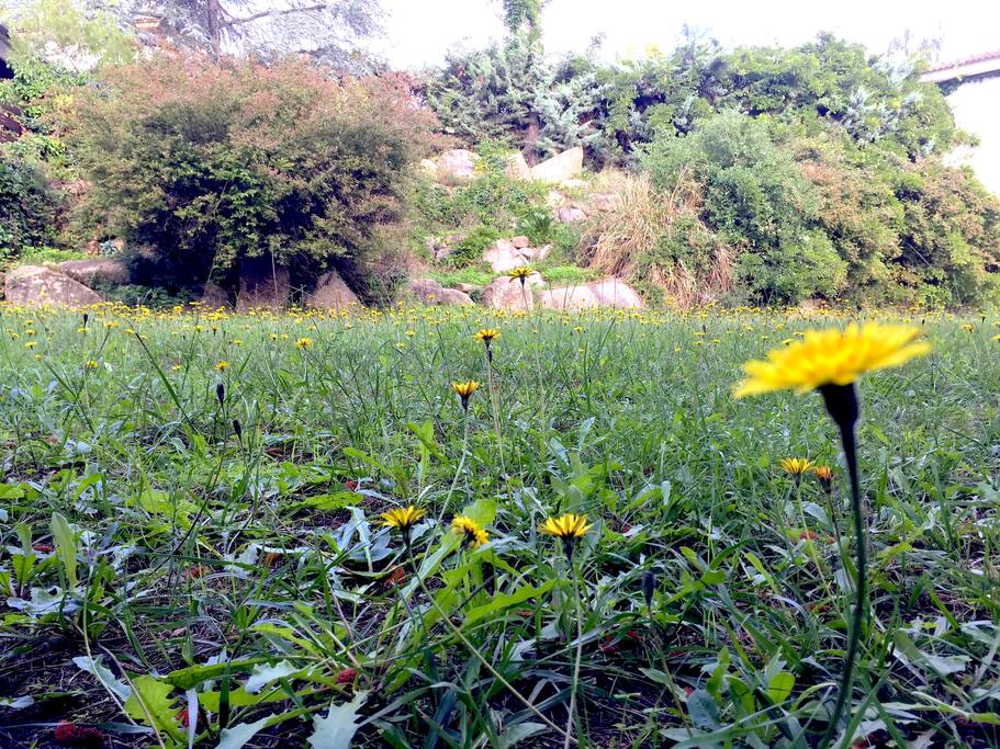Garden / Jardín (+2.000 m2)