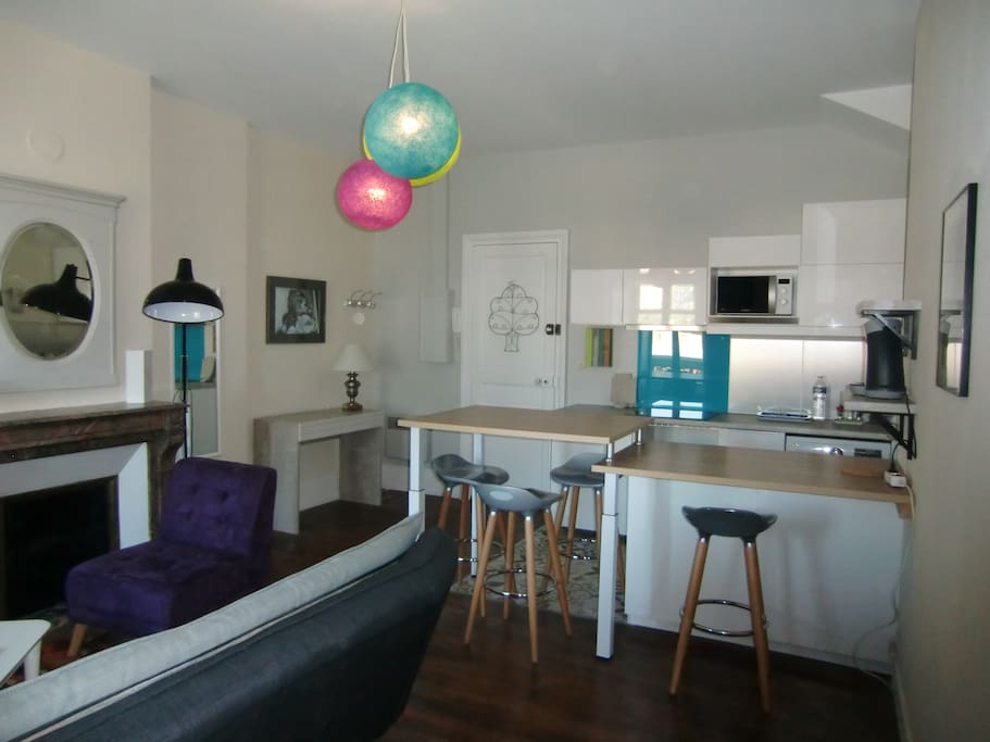 Pièce principale 25 m²
