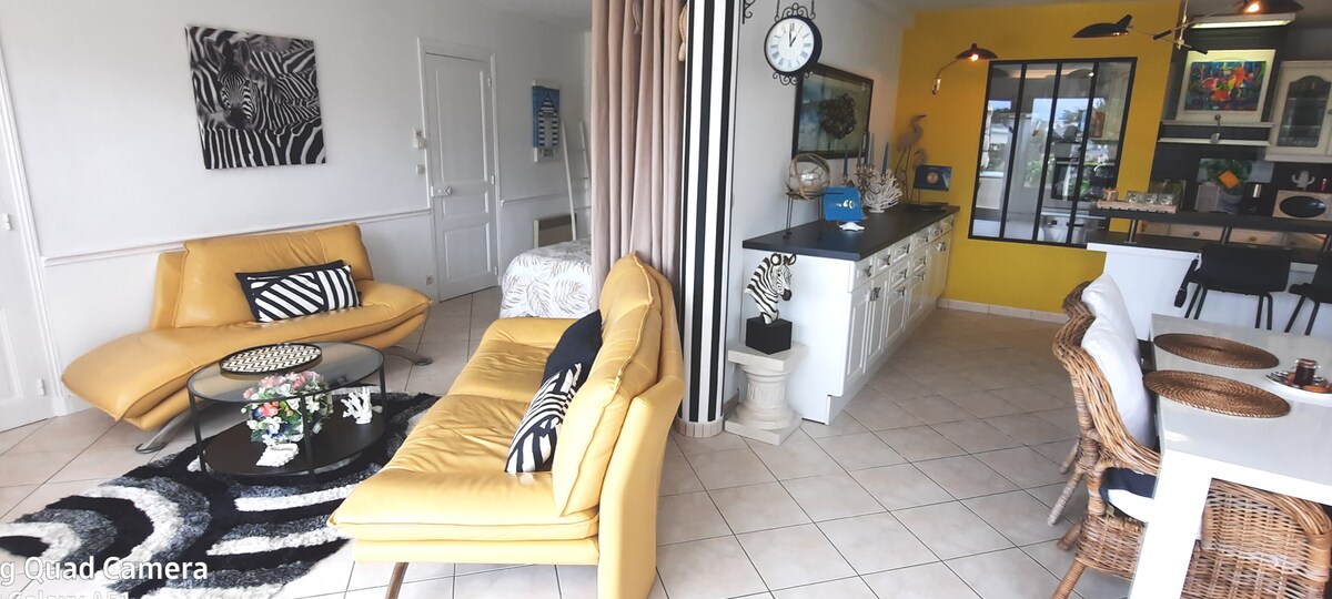 Top performing Airbnb: Apartment, terrace, beautiful sea view, loft style, 60 m2 in Erquy