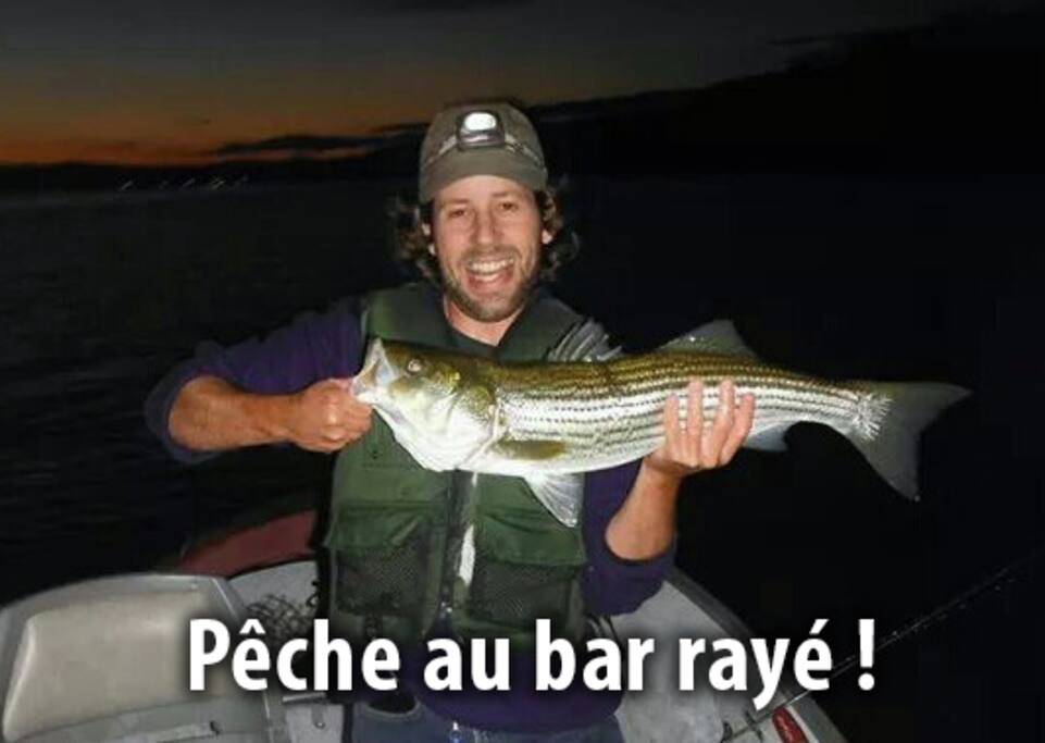 Avec moi directement sur la plage ou en bateau avec mon ami Benoit