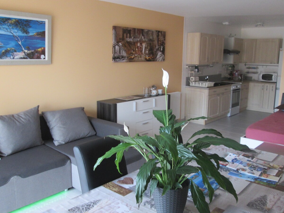 Salle à manger-salon très lumineux