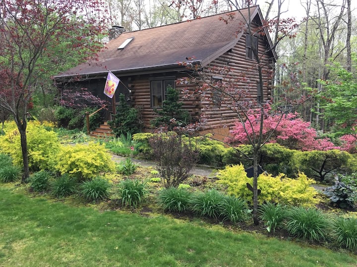 Airbnb Montford Asheville
