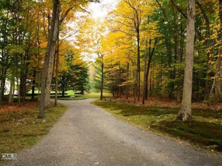 Driveway