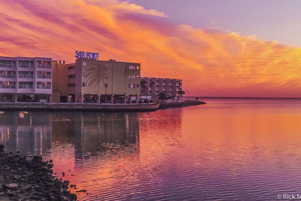 Welcome to Sailport Waterfront Suites and Suite #316! It's Tampa's hidden gem!!