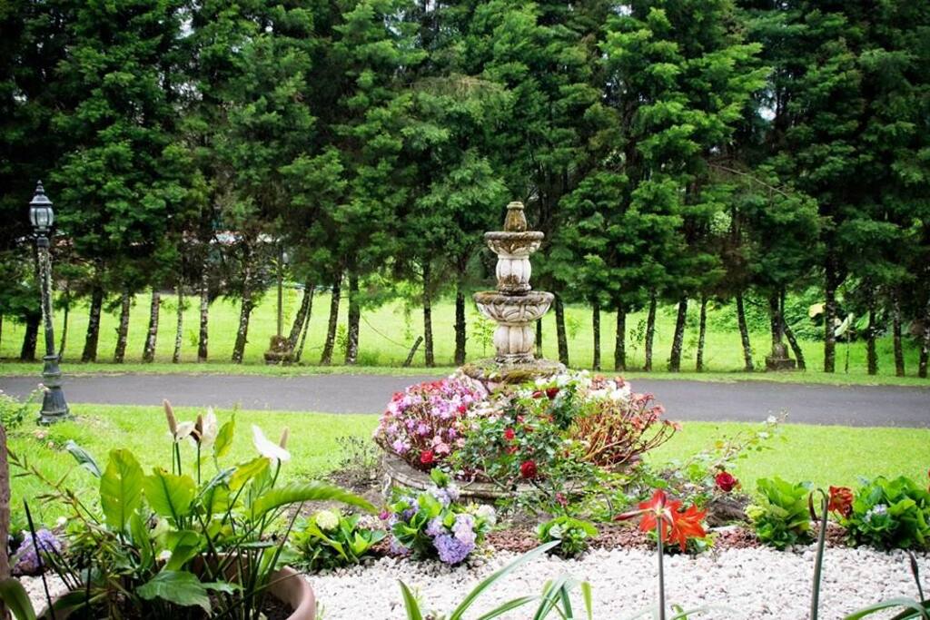 Jardín frontal