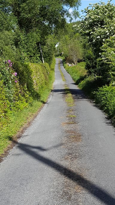 The house is just visible at the end of this quiet country road