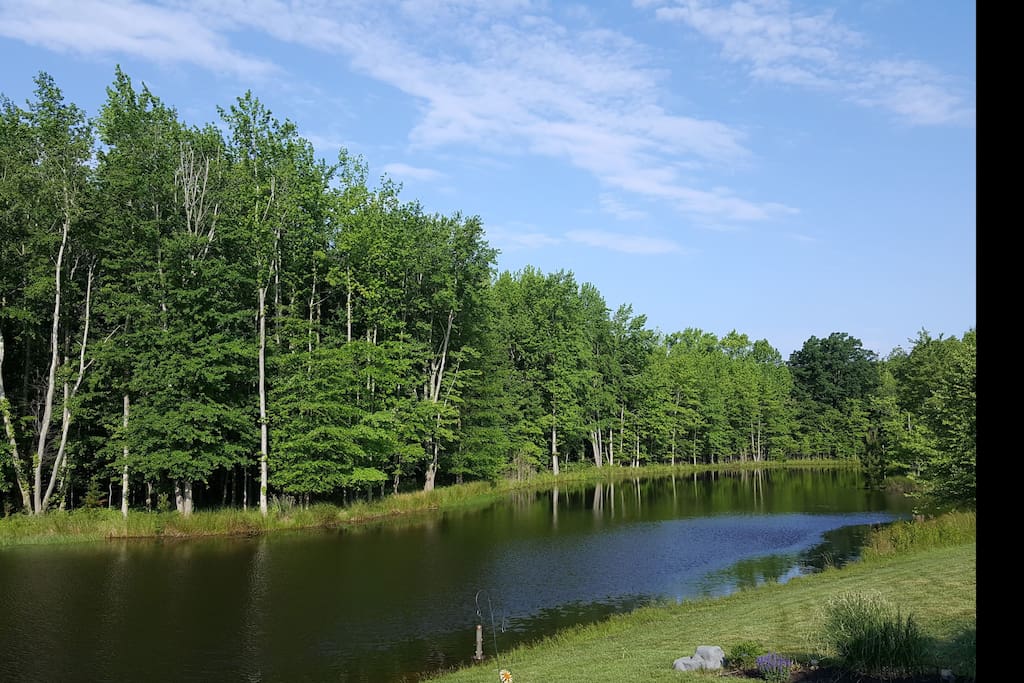 This is out golden pond. The sun sets in the middle