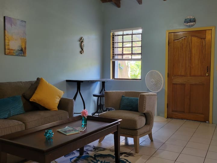 Centrally Located Cruz Bay Modern Luxury Apt (2) - Cruz Bay