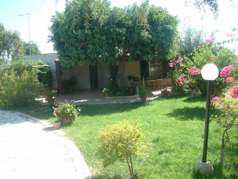Giardino