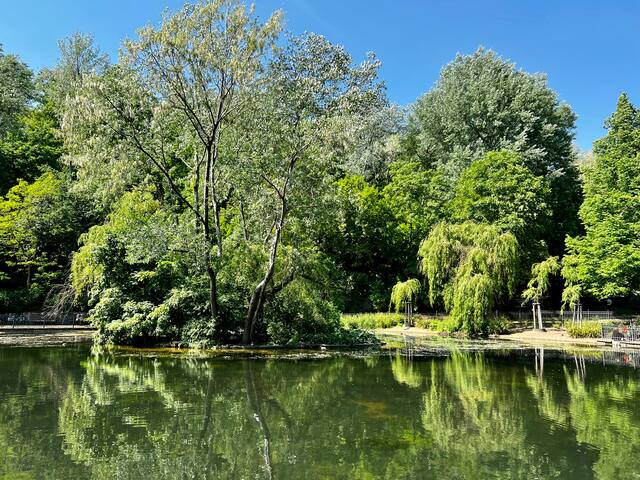 Spacious family-friendly apartment opposite park gallery image 3