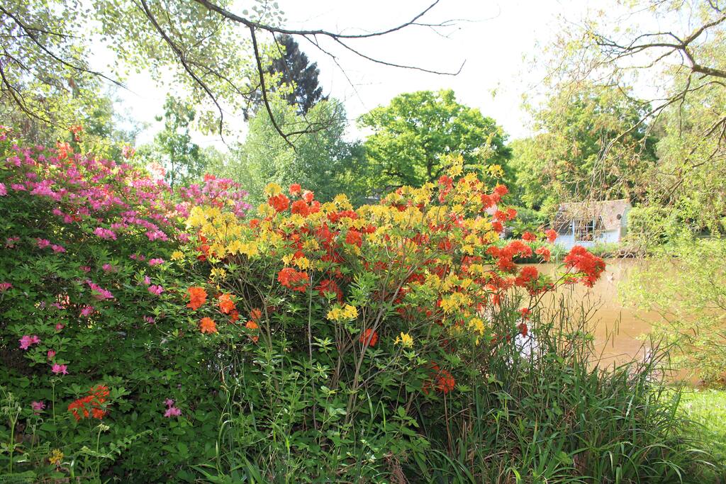 View from pond
