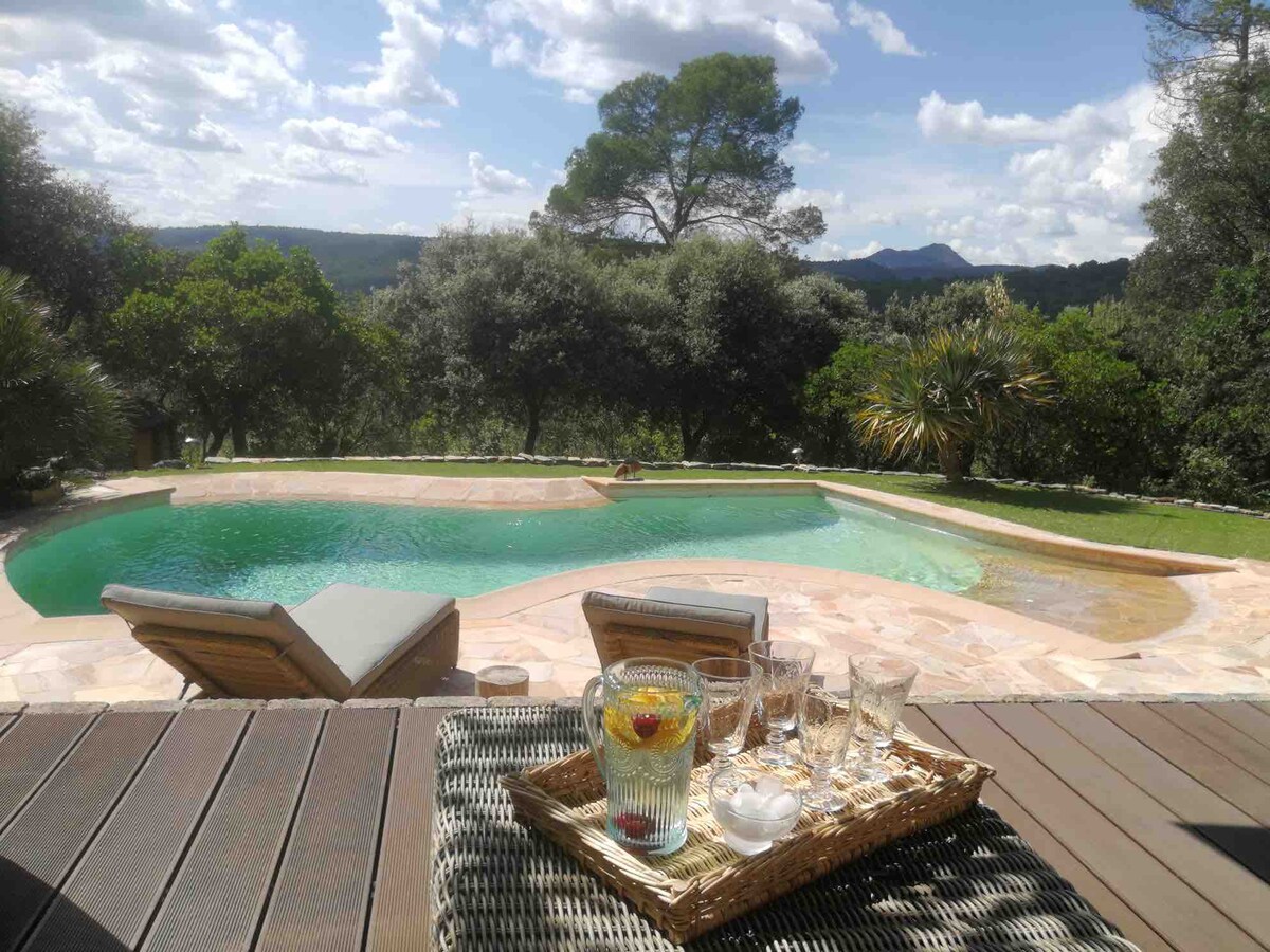 A tranquil outdoor space features a partially shaded swimming pool surrounded by lush greenery. Sun loungers are positioned nearby, and a tray with glasses and refreshing drinks rests on a wooden surface, inviting relaxation amidst the serene nature.