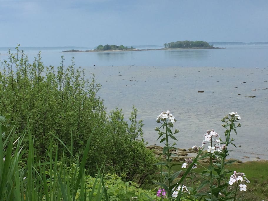 The view of Casco Bay at the end of the street. Flalmouth Flats is a tidal area minutes from Portand, Maine