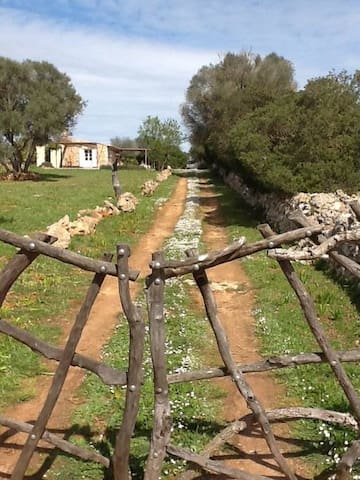 Entire home with 1 bedrooms in Santa Margalida - s ' ullastre casa de campo bucólica pastoril