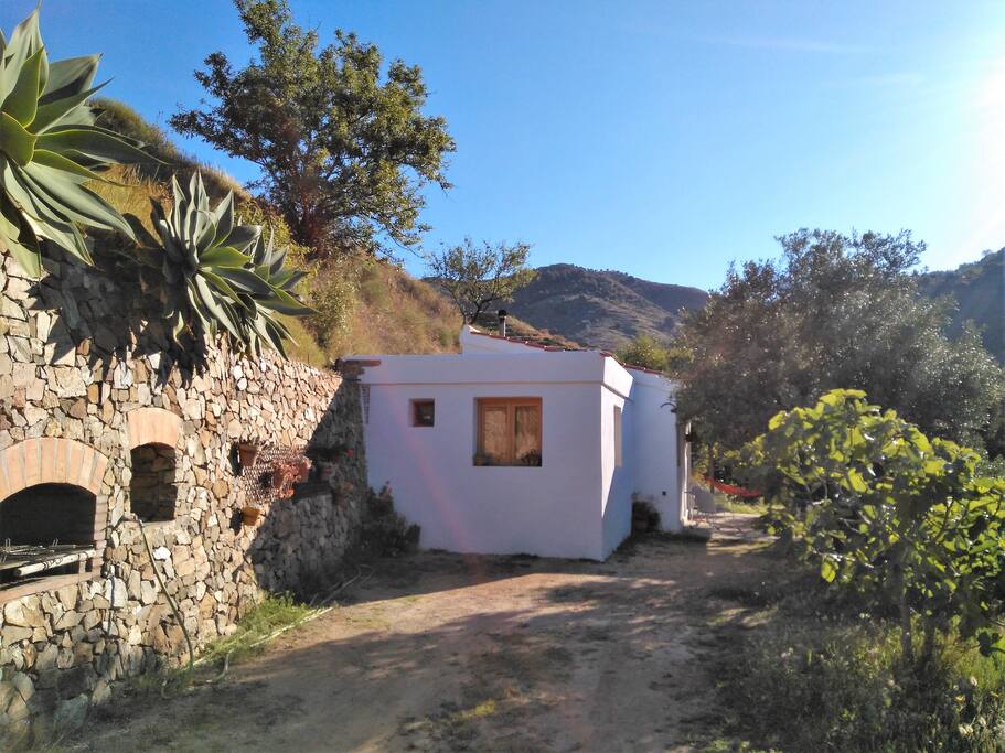 Barbacoa