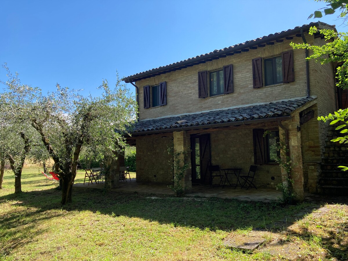 A rustic two-story house is surrounded by olive trees and greenery. The exterior features a stone facade, wooden shutters, and a covered porch with seating. The well-maintained garden area provides a serene view of the countryside, enhancing the tranquil atmosphere.