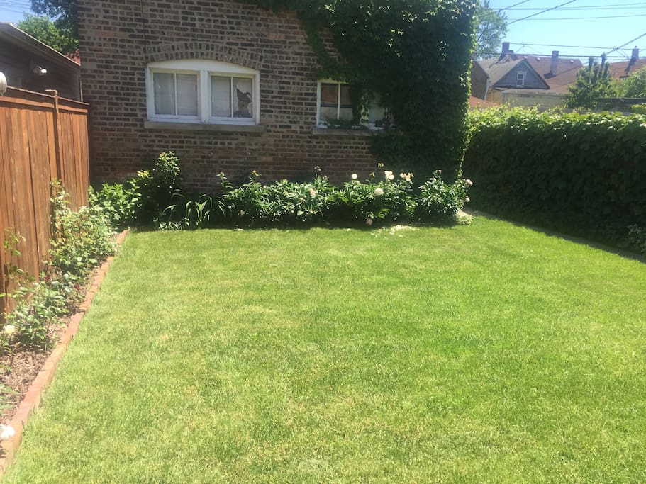 Lush and grassy backyard is great for taking off your shoes and getting some sun. (I have lawn chairs and mats for laying out)