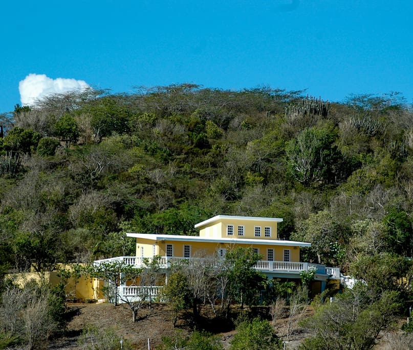 View of our hillside home and part of the land from across the valley.