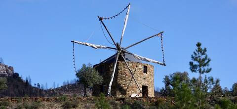 A beautiful windmill in nature: Moinho da Fadagosa